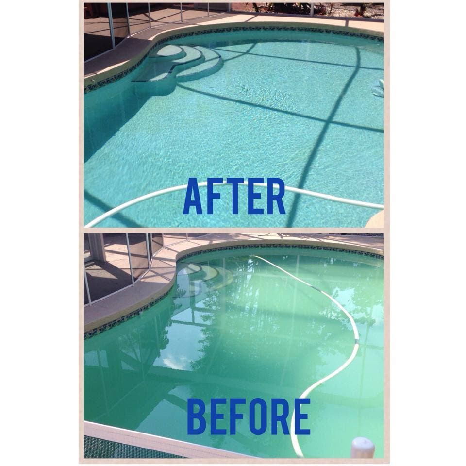 A Sarasota pool, before and after one Hoffman Pool Services visit. Cloudy green water on top transformed to clear blue.